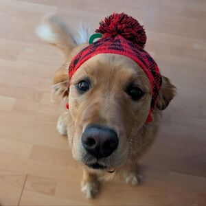 Meet your Posher, Kali